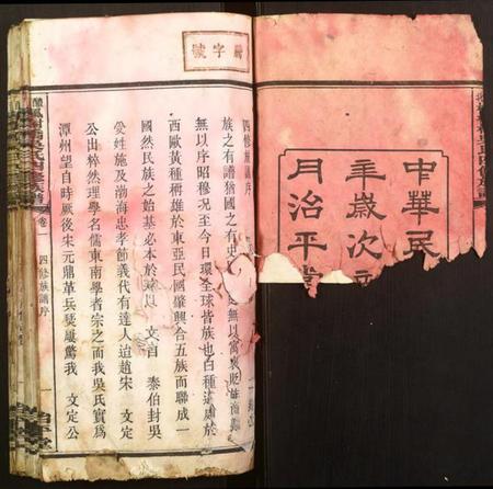 湖南吴氏族谱-醴北枫树桥吴氏族谱.pdf电子版插图2