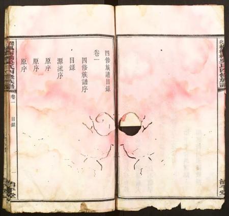 湖南吴氏族谱-醴北枫树桥吴氏族谱.pdf电子版插图4