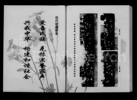 湖南伍氏族谱-伍氏族谱 [2卷,含卷首].pdf电子版插图3