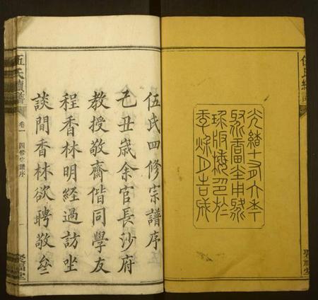 湖南伍氏族谱-伍氏续谱.pdf电子版插图2