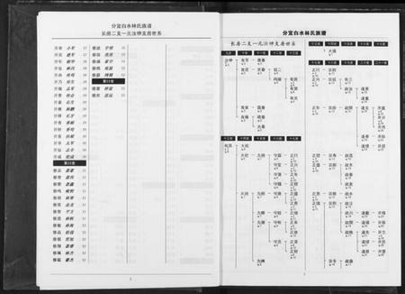 江西林氏族谱-分宜钤北白水林氏族谱.pdf电子版插图4