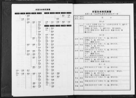 江西林氏族谱-分宜钤北白水林氏族谱.pdf电子版插图5