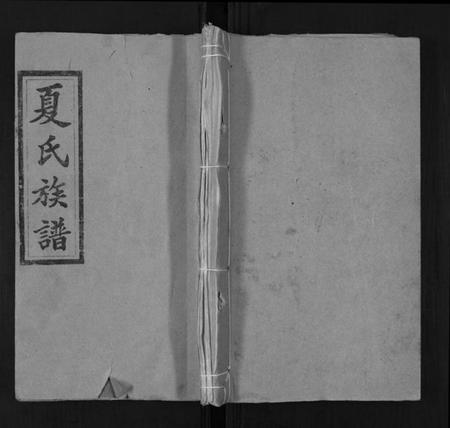 湖南夏氏族谱-夏氏八修族谱.pdf电子版