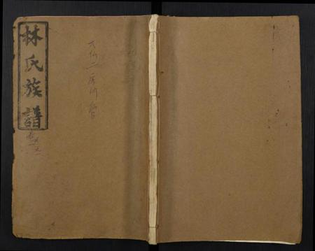 江西林氏族谱-林氏族谱.pdf电子版