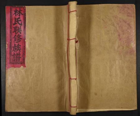 江西林氏族谱-林氏联修族谱.pdf电子版