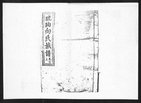 湖南向氏族谱-向氏族谱.pdf电子版