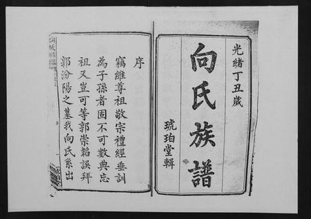 湖南向氏族谱-向氏族谱.pdf电子版插图2