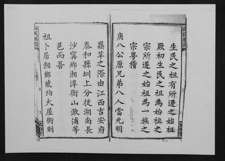 湖南向氏族谱-向氏族谱.pdf电子版插图4