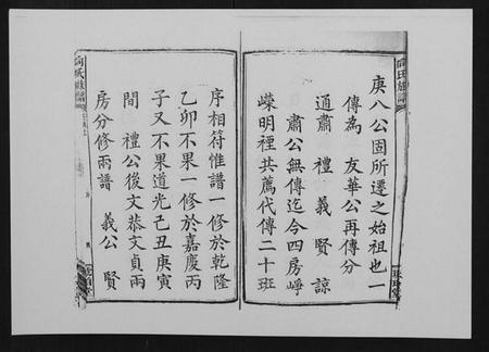 湖南向氏族谱-向氏族谱.pdf电子版插图5