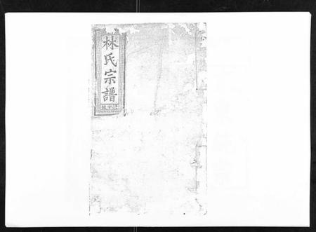 江西林氏族谱-闽林宗谱.pdf电子版