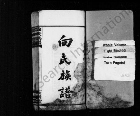 湖南向氏族谱-向氏族谱 [2卷,首尾各1卷].pdf电子版插图2