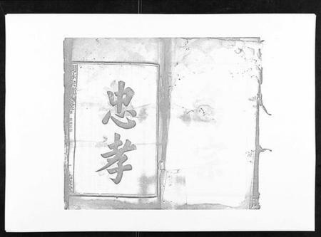 江西林氏族谱-闽林宗谱.pdf电子版插图3