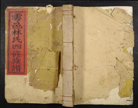 江西林氏族谱-雩邑林氏四修族谱.pdf电子版