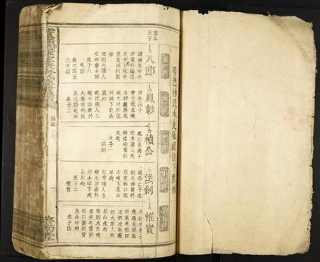 江西林氏族谱-雩邑西乡罗家渡林氏迭修族谱.pdf电子版插图2