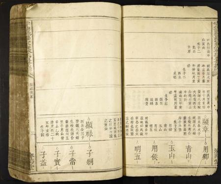 江西林氏族谱-雩邑西乡罗家渡林氏迭修族谱.pdf电子版插图4