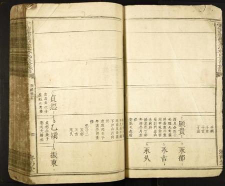 江西林氏族谱-雩邑西乡罗家渡林氏迭修族谱.pdf电子版插图5