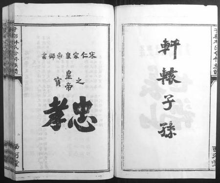 江西林氏族谱-雩都林氏合修族谱[13卷].pdf电子版插图5