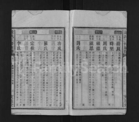 湖南萧氏族谱-萧氏三修族谱 [7卷,首1卷].pdf电子版插图3