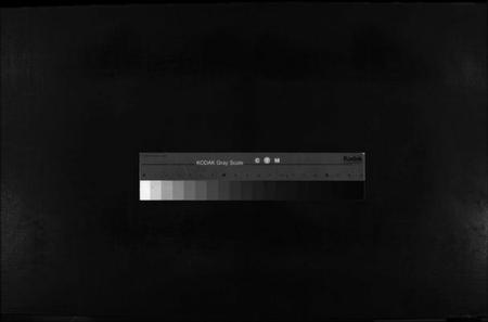 浙江金氏族谱-金氏宗谱 [不分卷].pdf电子版