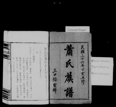 湖南萧氏族谱-萧氏族谱 [11卷,首2卷].pdf电子版插图2