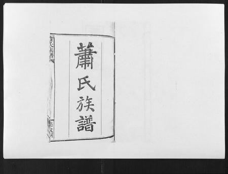 湖南萧氏族谱-萧氏族谱[18卷首5卷].pdf电子版