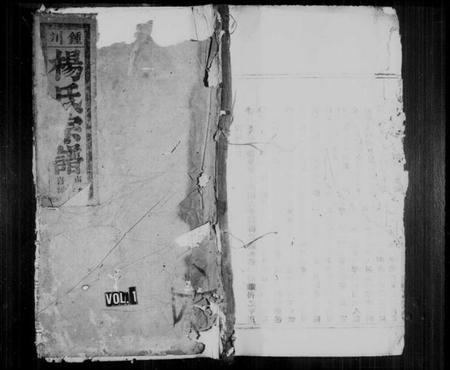 浙江杨氏族谱-锺川杨氏宗谱 [残卷].pdf电子版插图1