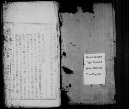 浙江杨氏族谱-锺川杨氏宗谱 [残卷].pdf电子版插图2