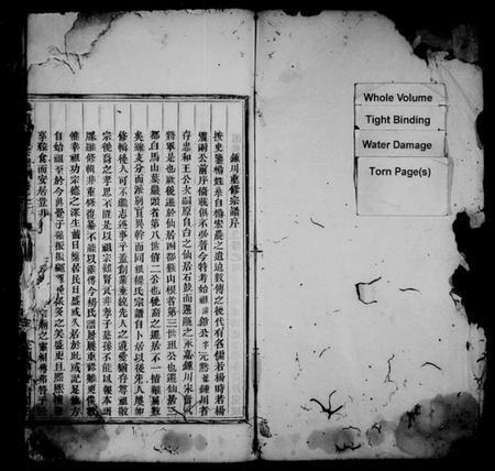 浙江杨氏族谱-锺川杨氏宗谱 [残卷].pdf电子版插图2