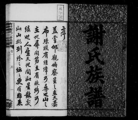 湖南谢氏族谱-南田谢氏三修族谱 [10卷].pdf电子版插图4