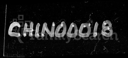 湖南谢氏族谱-白石谢氏四修族谱 [76卷,文史4卷].pdf电子版插图4