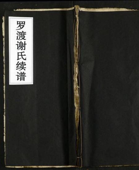 湖南谢氏族谱-罗渡谢氏续谱 [残卷].pdf电子版