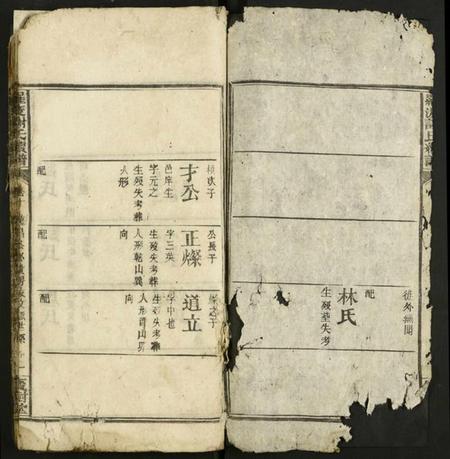 湖南谢氏族谱-罗渡谢氏续谱 [残卷].pdf电子版插图2