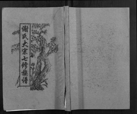 湖南谢氏族谱-谢氏七修族谱.pdf电子版