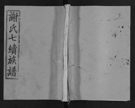 湖南谢氏族谱-谢氏七续族谱[29卷首1卷末3卷].pdf电子版