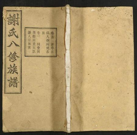 湖南谢氏族谱-谢氏八修族谱.pdf电子版