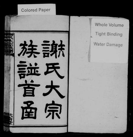 湖南谢氏族谱-谢氏大宗族谱 [12函,及首函].pdf电子版插图2