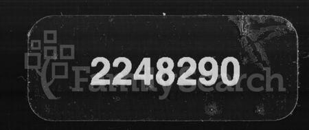 湖南谢氏族谱-谢氏族谱 [38卷,首4卷].pdf电子版