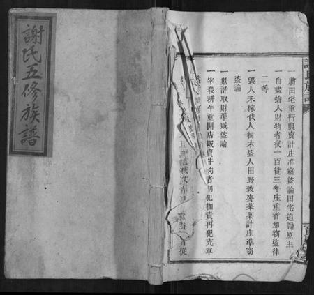 湖南谢氏族谱-谢氏族谱[12卷首1卷].pdf电子版