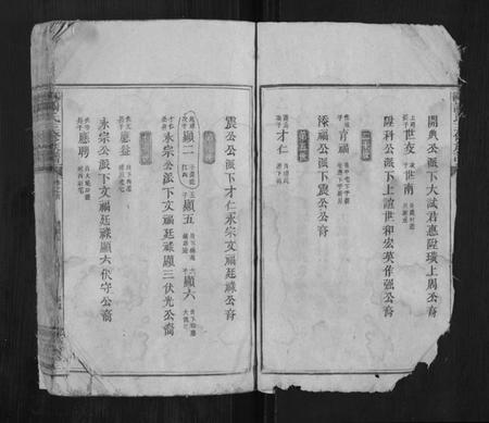 湖南谢氏族谱-邵陵谢氏三修族谱.pdf电子版插图5