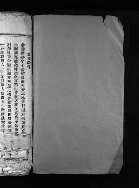 浙江陈氏族谱-陈氏宗谱 [不分卷].pdf电子版插图2