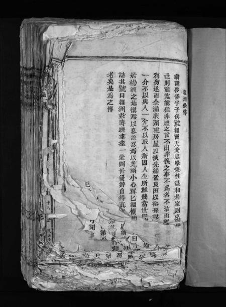 浙江陈氏族谱-陈氏宗谱 [不分卷].pdf电子版插图3