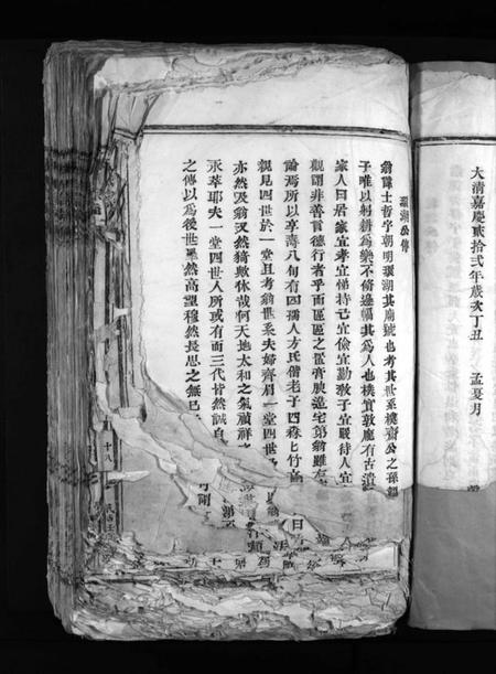 浙江陈氏族谱-陈氏宗谱 [不分卷].pdf电子版插图5