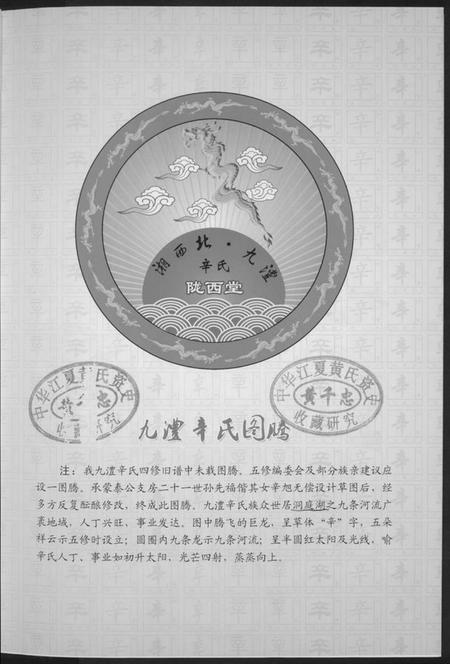 湖南辛氏族谱-辛氏族谱.陇西堂.pdf电子版插图2