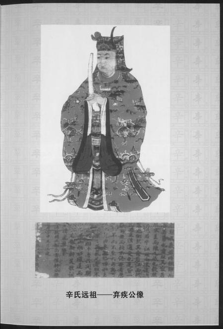 湖南辛氏族谱-辛氏族谱.陇西堂.pdf电子版插图4