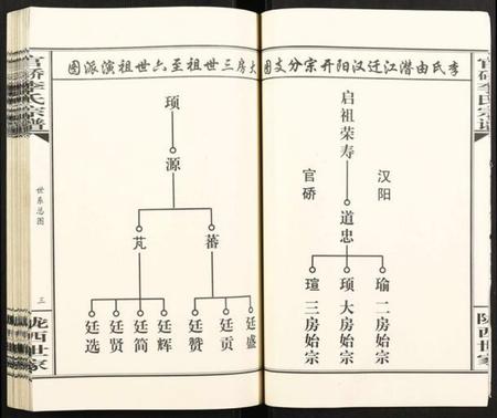 湖北李氏族谱-官桥李氏宗谱.pdf电子版插图4