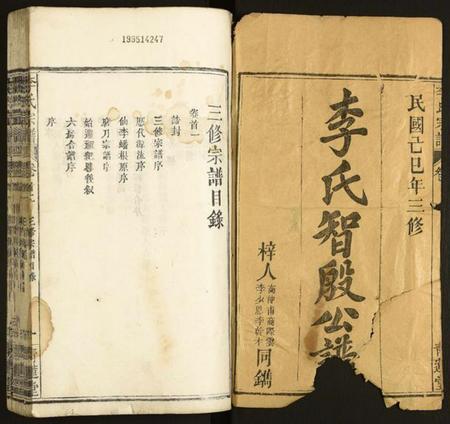 湖北李氏族谱-李氏宗谱.pdf电子版插图1