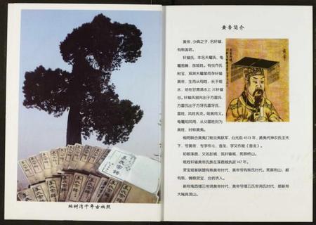 湖北李氏族谱-李氏宗谱.pdf电子版插图3 湖北李氏族谱-李氏宗谱.pdf电子版插图3