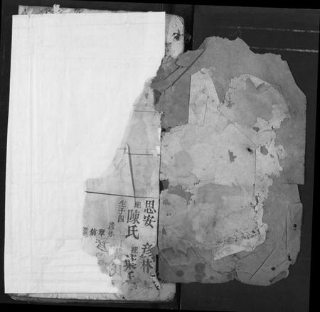 湖北李氏族谱-李氏宗谱.pdf电子版插图1 湖北李氏族谱-李氏宗谱.pdf电子版插图1