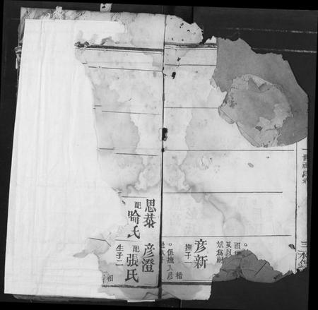 湖北李氏族谱-李氏宗谱.pdf电子版插图3 湖北李氏族谱-李氏宗谱.pdf电子版插图3