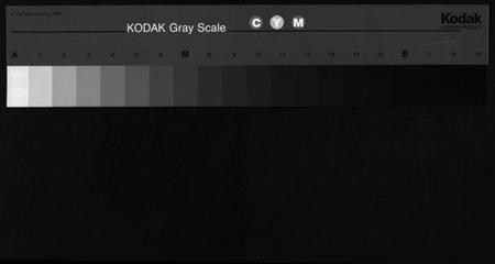 浙江卢氏族谱-雅溪卢氏家乘 [7卷].pdf电子版